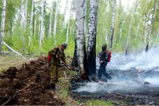 На территории Чувашии продлена чрезвычайная пожароопасность