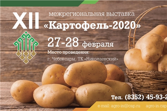27-28 февраля в Чебоксарах пройдет XII Межрегиональная отраслевая выставка «Картофель – 2020»