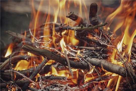 В Чувашии более 100 человек привлечены к ответственности за сжигание сухой травы