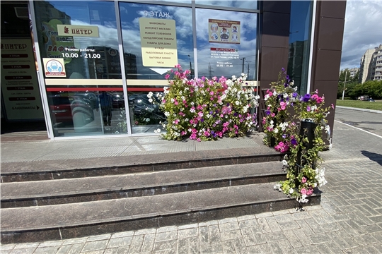 Чебоксарские организации вносят свою лепту в цветочное оформление столицы