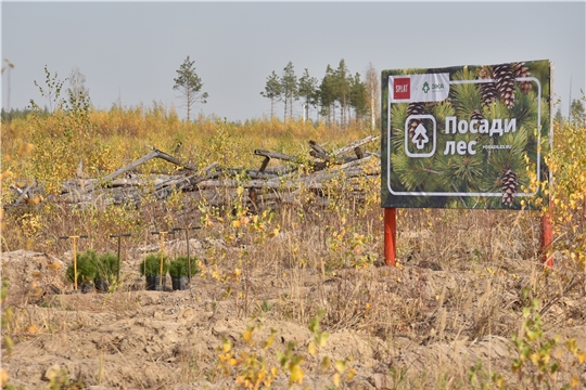 В Заволжье города Чебоксары состоялась Всероссийская акция по посадке деревьев «Сохраним лес»
