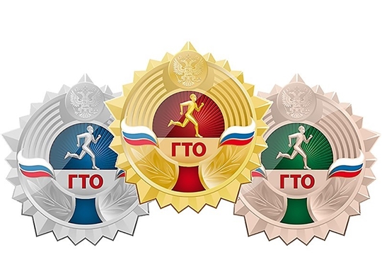 Город Канаш в числе лидеров по золотым знакам ВФСК «ГТО», выполненным в период с 1 апреля по 30 июня 2020 года.