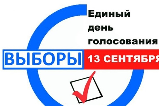 В городе Канаш на 18 часов проголосовали 35,22% избирателей