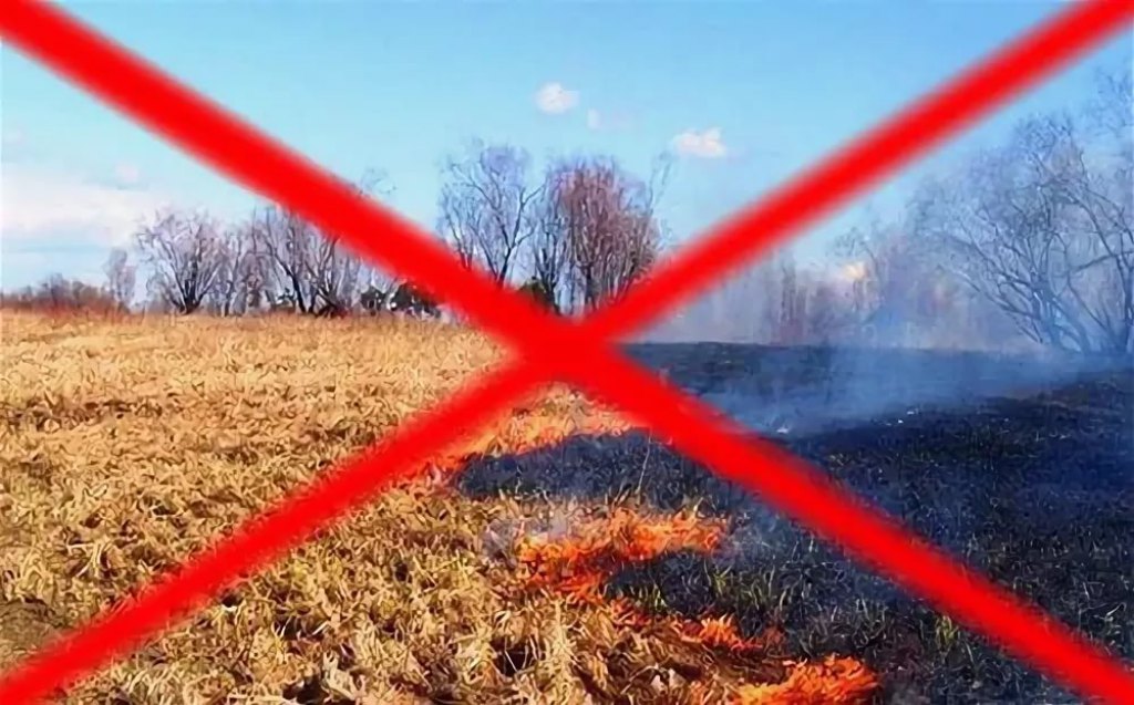 Земля пал. Пал сухой растительности запрещено. Выжигание сухой растительности запрещено. Запрет выжигания сух расти. Запрет на пал сухой травы.