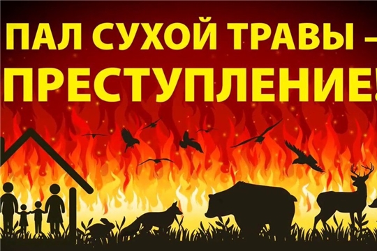 В Чувашии зарегистрированы 119 случаев сжигания мусора и пала сухой травы, огнём пройдено около 386 га