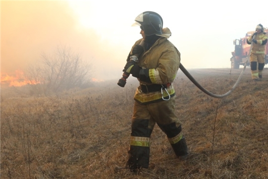 МЧС России: порядка 70 % всех пожаров в стране с начала года произошло на открытых территориях