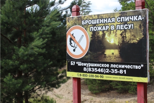 Республиканские огнеборцы патрулируют леса