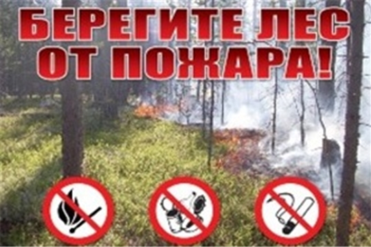Внимание! Будьте осторожны с огнем в лесу