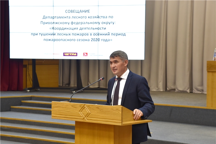 Олег Николаев принял участие в совещании Департамента лесного хозяйства по ПФО
