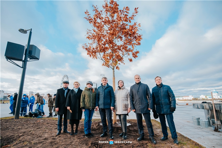 Посадка деревьев на Красной площади