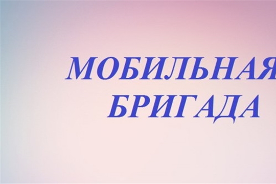 «Мобильная бригада» - на страже семейного благополучия