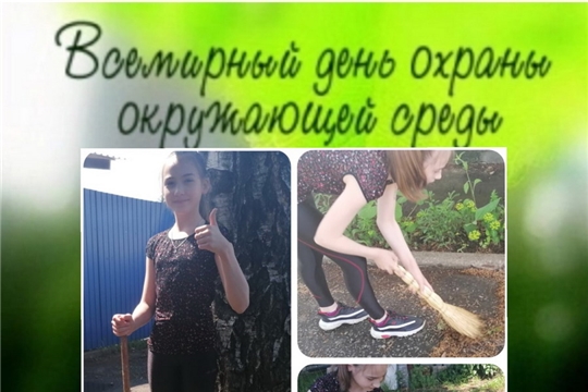 День окружающей среды