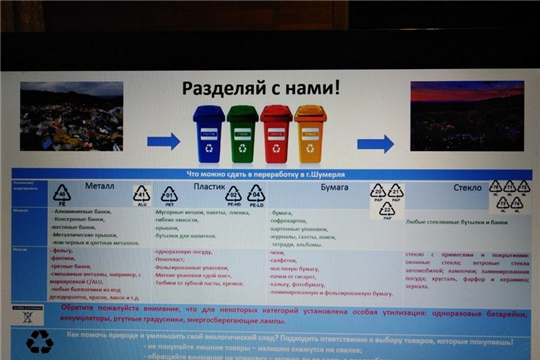 Реализация проекта по раздельному сбору мусора