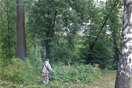 В парке культуры и отдыха города Шумерля регулярно ведутся работы по благоустройству и санитарной очистке территории