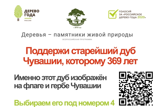 Голосуем за Старейший дуб Чувашской Республики!
