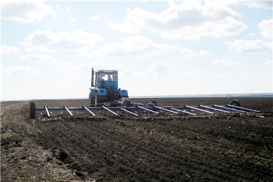 8 сельскохозяйственных предприятий и фермерских хозяйств Ибресинского района приступили к весенним полевым работам