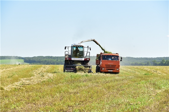В сельхозпредприятиях Ибресинского района ведется заготовка кормов