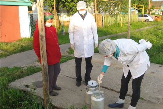 Качество сырого молока в ЛПХ Ибресинского района на контроле ветеринарных специалистов