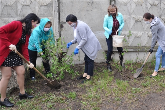 Сотрудники Вурнарской райгазеты присоединились к акции «Сад памяти»