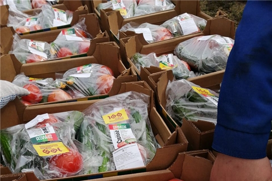 #Времяпомогать: продуктовые наборы пожилым доставили активисты волонтерских территориальных центров Чебоксар