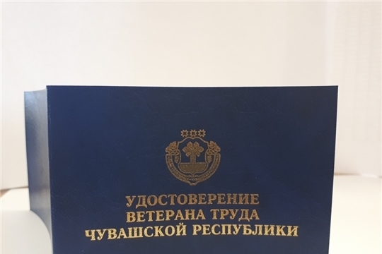 Ветераны труда Чувашской Республики могут получить компенсацию расходов на капремонт