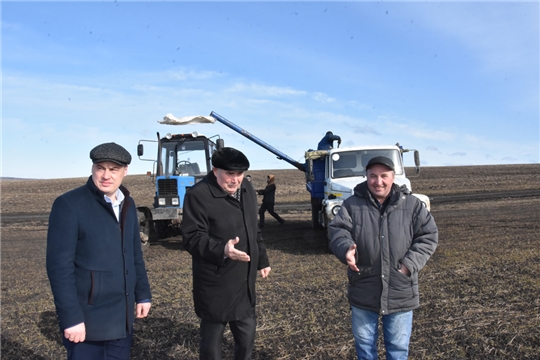 В Канашском районе приступили к подкормке озимых культур минеральными удобрениями