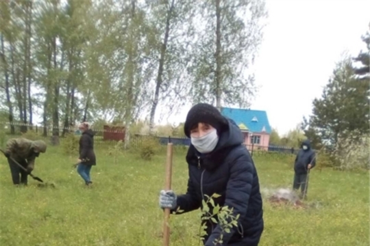 В рамках Международной акции «Сад памяти»