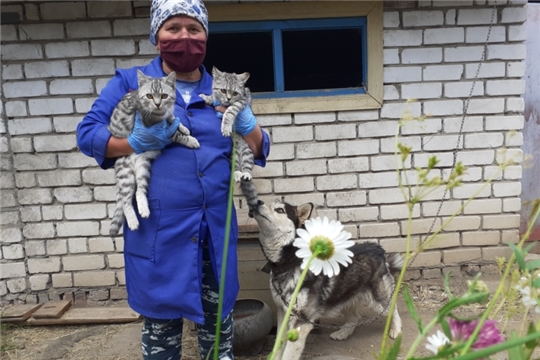 Ветеринарный фельдшер в домашнем зоопарке Семеновых села Вутабоси
