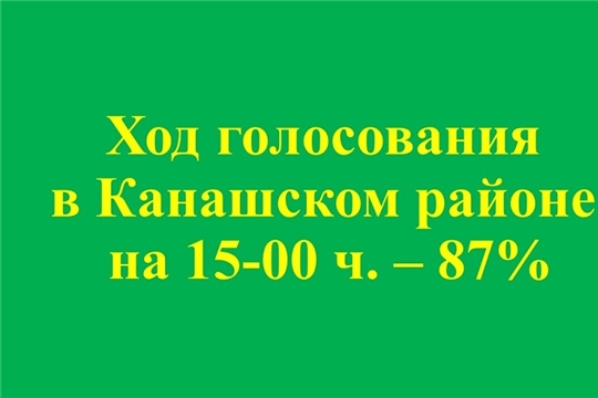 Ход голосования в Канашском районе на 15 часов по местному времени