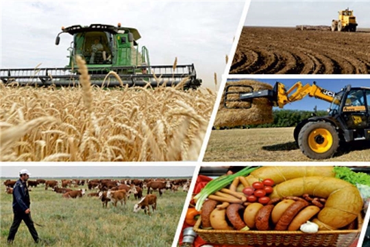 На реализацию госпрограммы развития сельского хозяйства дополнительно выделено 192,7 млн. рублей