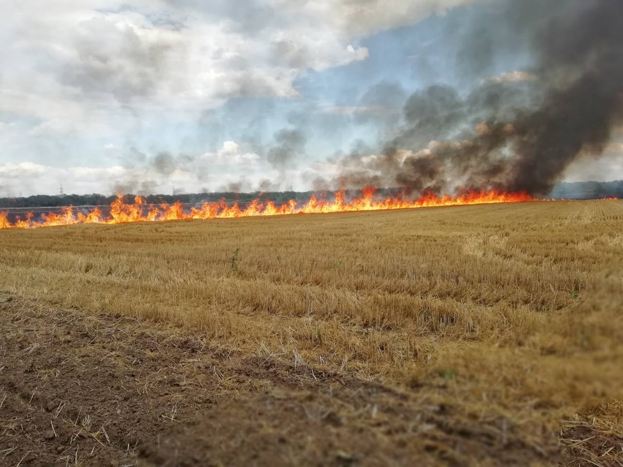 Сжигание полей. Горящее поле. Поле в огне. Сгоревшее поле. Пожар на поле пшеницы.