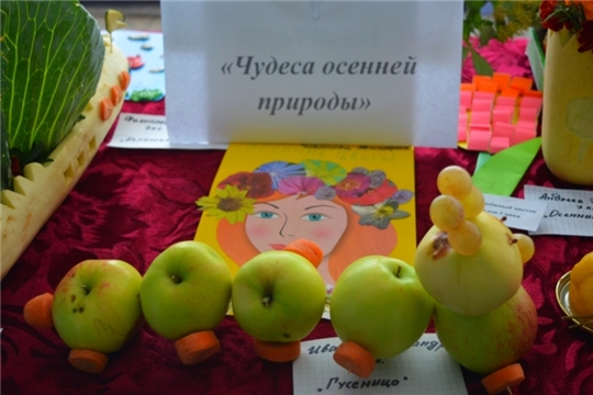 По случаю голосования работниками культуры в Малобикшихском сельском поселении организованы творческие выставки