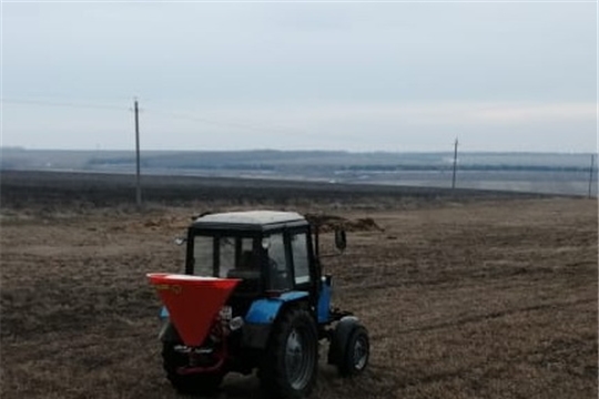 Аграрии Комсомольского района вышли на подкормку озимых зерновых культур и многолетних трав