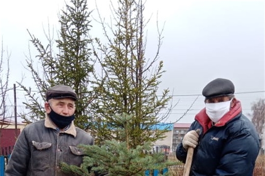 Жители Комсомольского района участвуют в международной акции «Сад памяти»