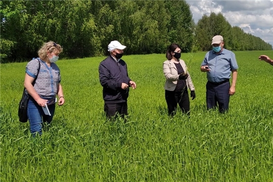 В Комсомольском районе продолжили осмотр полей