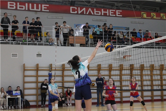 Открытый волейбольный турнир Козловского района среди женских команд в честь Международного женского дня