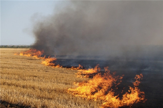 Порядок использования открытого огня и разведения костров на землях сельскохозяйственного назначения и землях запаса