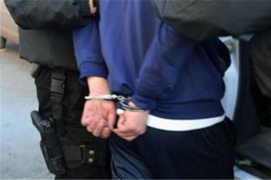 В Козловском районе возбуждено уголовное дело в отношении сельчанина, набросившегося с кулаками и ударившего ногой полицейских