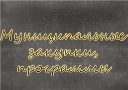 Муниципальные закупки, программы