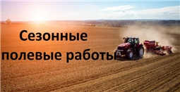 Сезонные полевые работы