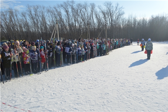 Красноармейский район присоединился к массовой лыжной гонке