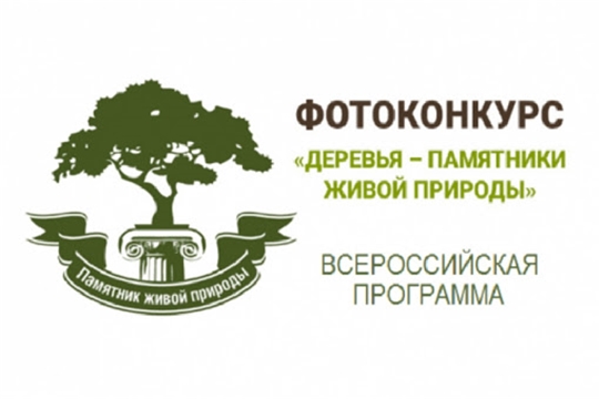 Всероссийская программа «Деревья — памятники живой природы»