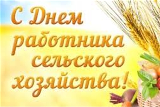 Поздравление депутата Государственной Думы Российской Федерации Н.В. Малова тружеников сельского хозяйства и перерабатывающей промышленности