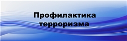 Профилактика терроризма