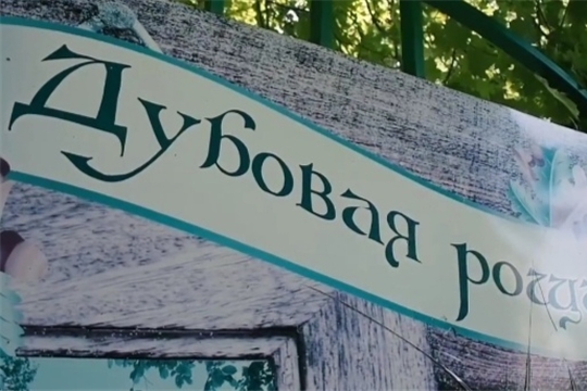Благоустройство: Дубовая роща готовится к преображению