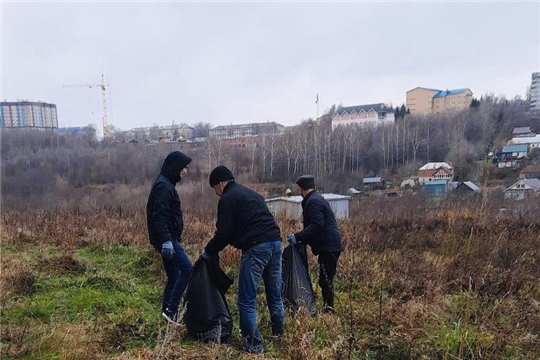 В Ленинском районе проведено более 100 экологических акций и субботников