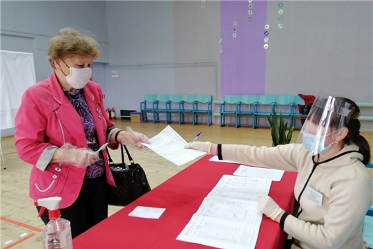 В Мариинско-Посадском районе прошло Общероссийское голосование