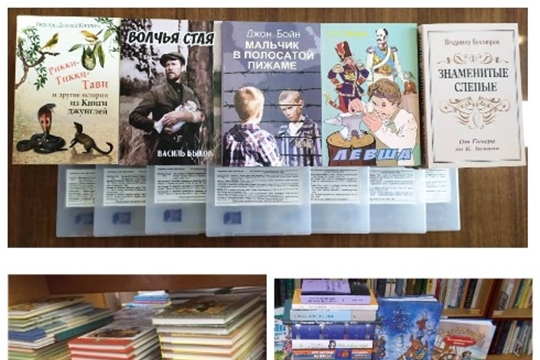 Кшаушская сельская библиотека пополнила книжный фонд в рамках национального проекта «Культура»