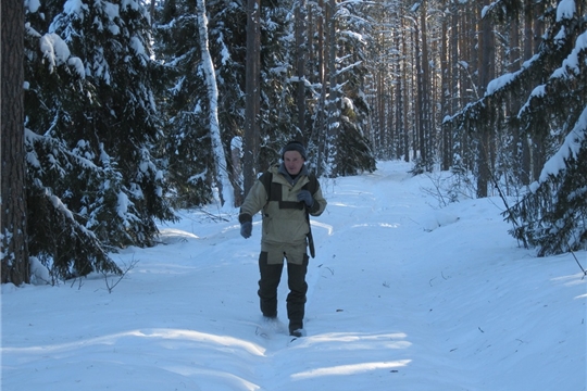 В национальном парке «Чăваш вăрманĕ» проведены зимние маршрутные учеты