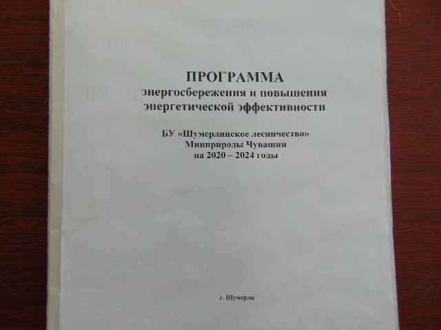 Программа энергосбережения и повышения энергетической эффективности образец 2022 2024